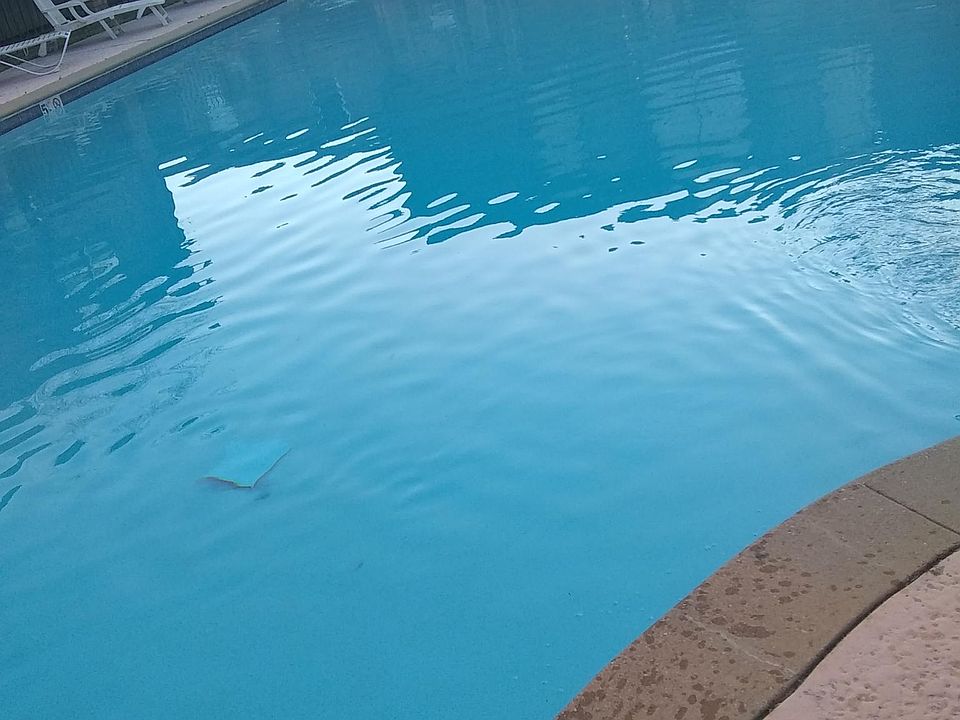 2nd image of 1820 E Kings Hwy APT 228