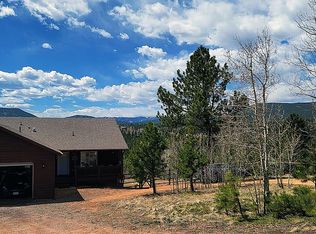 154 Sunset Dr, Bailey, CO 80421