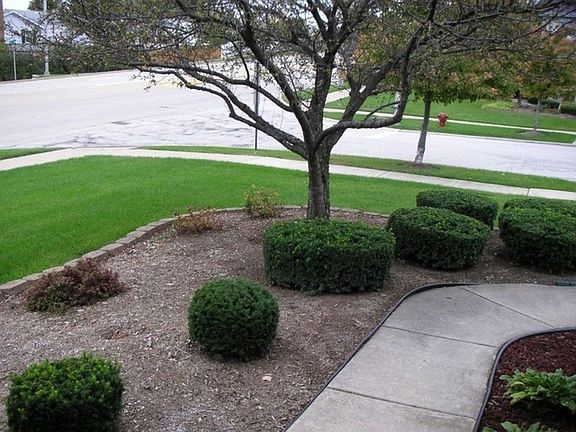 3rd image of 8655 Miroballi Dr #8655
