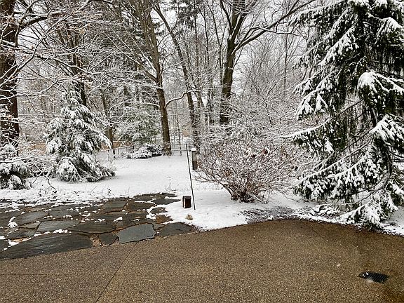 Winter backyard 
