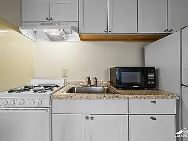 1 bed, 550 sqft, $1,300 — Photo 3