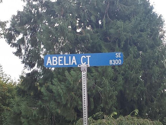 5th image of 8326 Abelia Ct SE