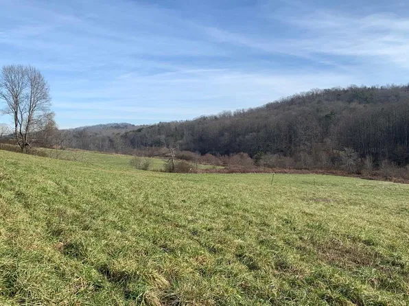 105AC Henson Way, Blue Ridge, GA 30513