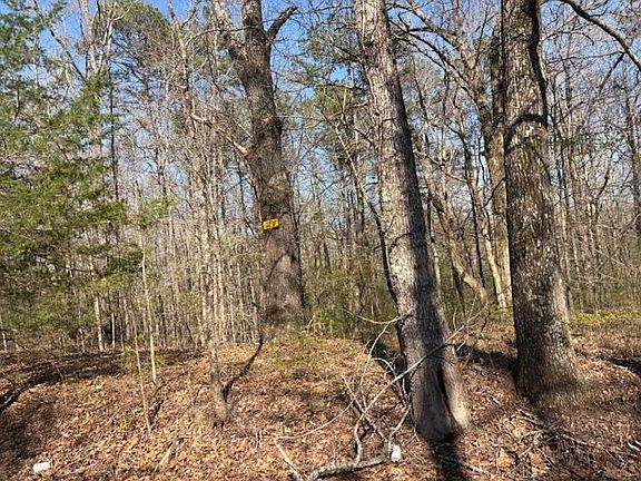 2nd image of 0 Gooch Store Rd
