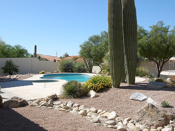 Backyard with Pool