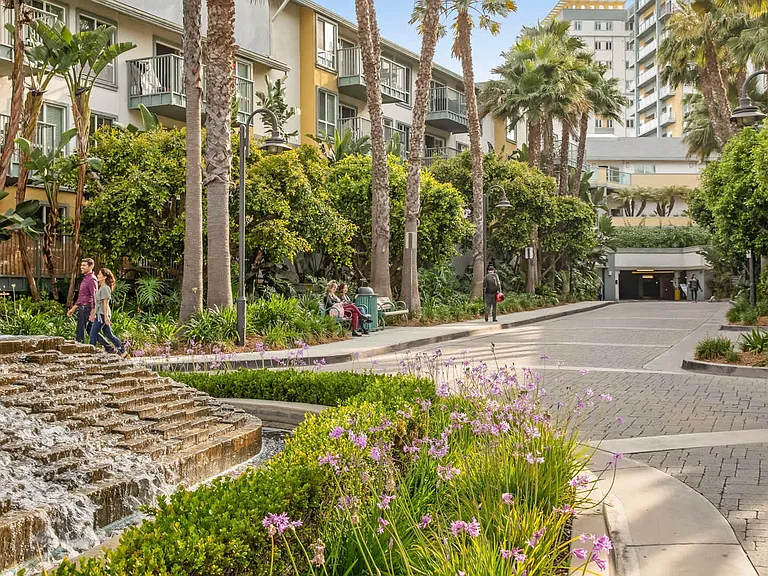 Explore the Lush Community Grounds