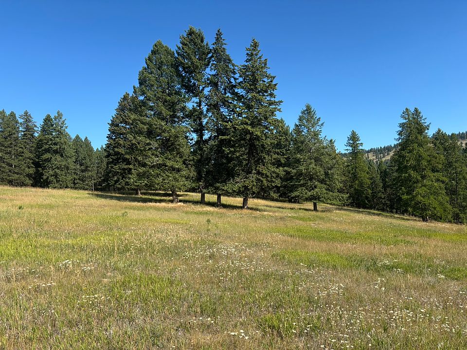 2nd image of 674 Morning View Dr