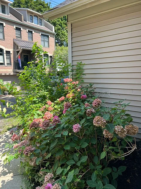 Fulton Rd, Cleveland — Photo 4