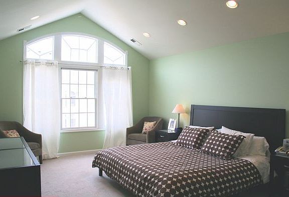 Large Master bedroom with vaulted ceiling