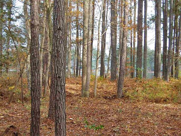 4th image of 795 Daphne Ln