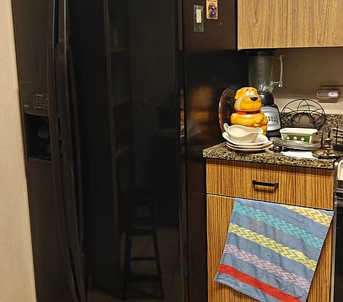 5th image of 201 E Chestnut St APT 17C