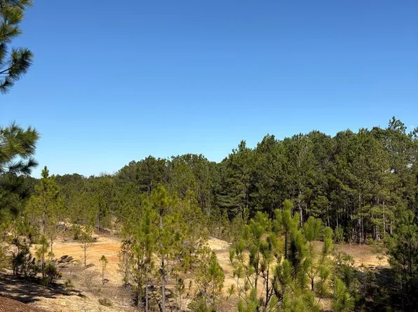 Sturgeon Creek Ch Rd, Fitzgerald, GA 31750