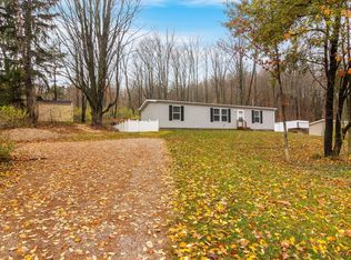 1136 Case Rd, Benzonia, MI 49616