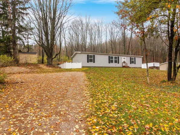 1136 Case Rd, Benzonia, MI 49616