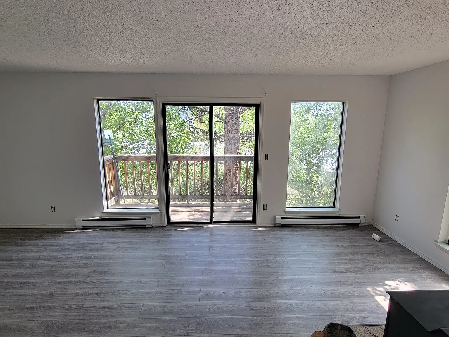 3 bed, 1.5 bath, 1300 sqft, $2,500 — Photo 2