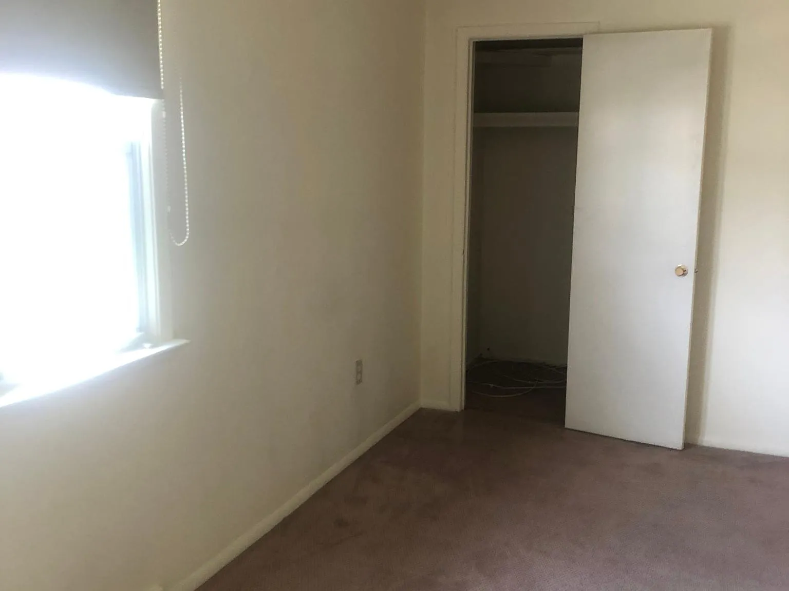 2 bed, 1100 sqft, $1,600 — Photo 4