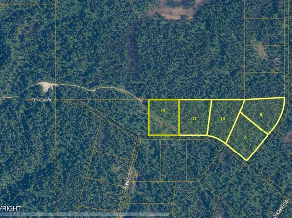 LOT 8 Twelve B1 E, Talkeetna, AK 99676