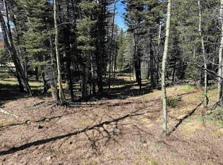 1451 El Camino Real, Angel Fire, NM 87710