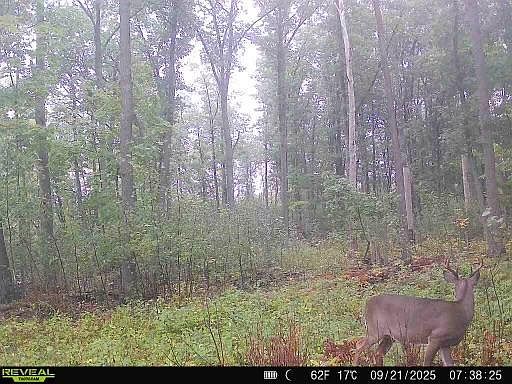 2nd image of Xxx Fleming Logging Rd
