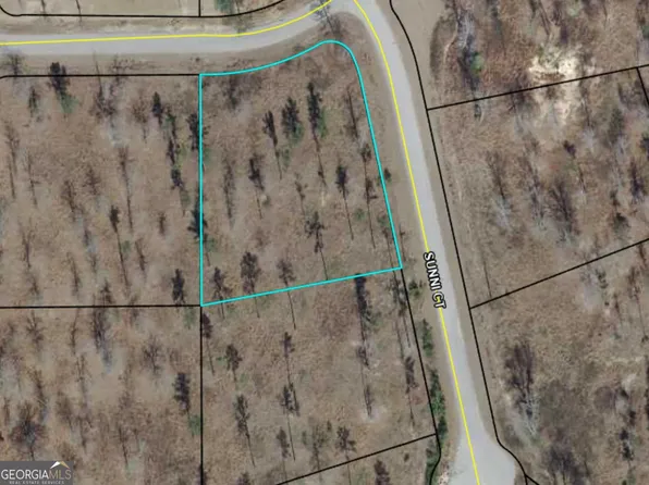 4003 Sunni Ct, Lizella, GA 31052