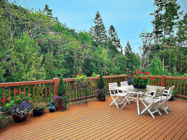 View from Deck