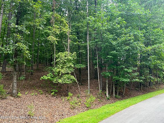 4th image of LOT 31 Blue Creek Cir