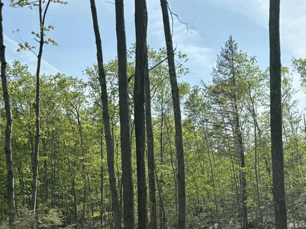 Lot 55-A Ford Quint Road, North Berwick, ME 03906