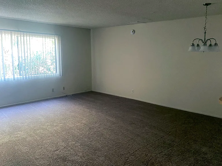 4912 Tujunga Ave #3 — Photo 4