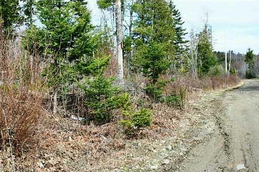 2nd image of 0 Wescott Stream Road