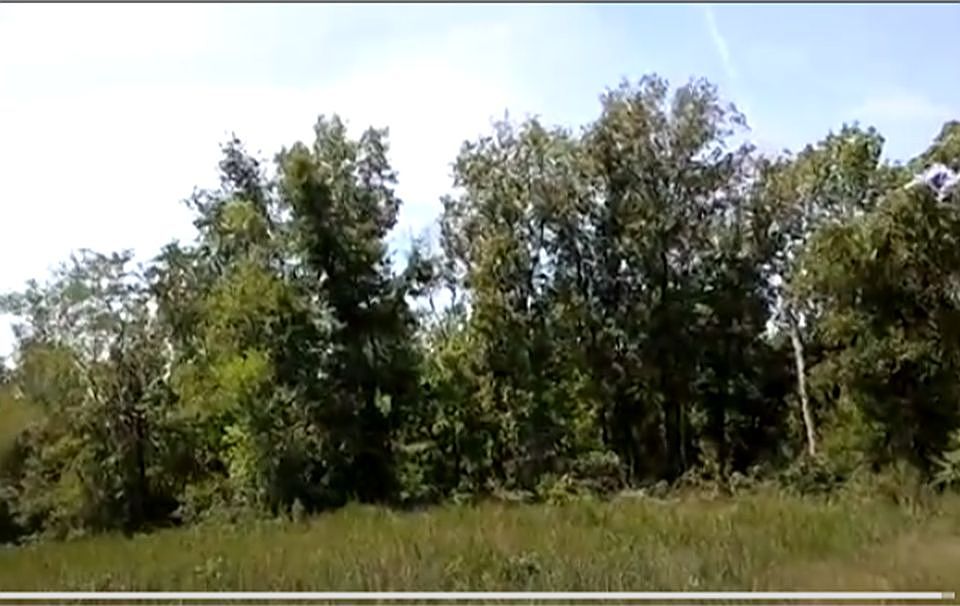 2nd image of Daisy Circle Rd