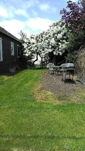 2nd image of 320 F St