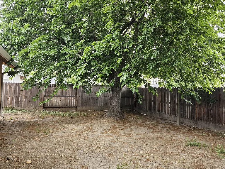 Buthmann Ave — Photo 14