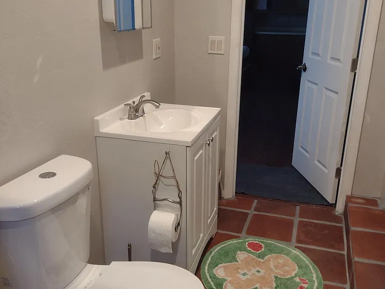 Master bathroom. Newly renovated.