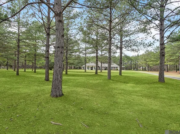 15182 Sterling Smith Rd, Amite, LA 70456