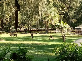 28014 Sleepy Bear Ln, Sorrento, FL 32776