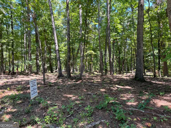 1.00 Acre Tract, Cleveland, GA 30528