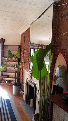 Rented by Bien Realty Ltd | media 16