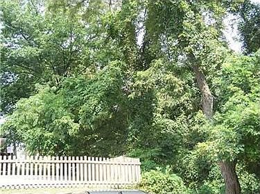 3rd image of 127 E Willock