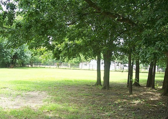 back yard