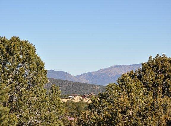 5th image of 133 Buckboard Trl