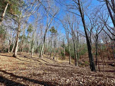 1258 Treetop Ridge Rd, Blacksburg, VA, 24060