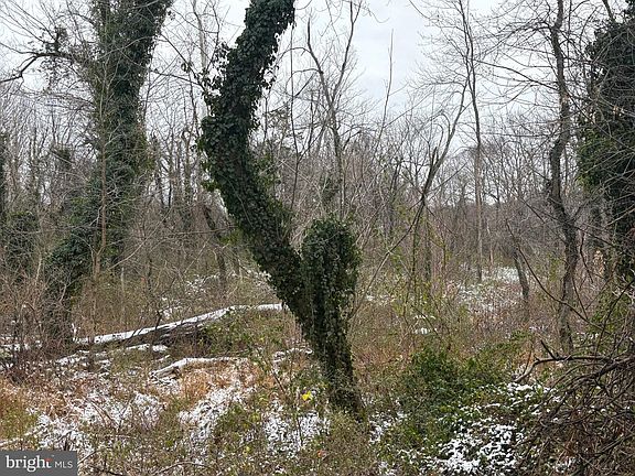 5th image of 0 Main St