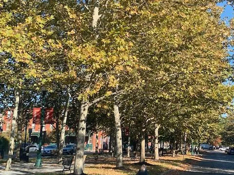 434 Chambers Ave #2 — Photo 28