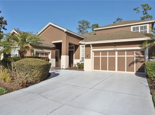 14721 Tudor Chase Dr, Tampa, FL 33626