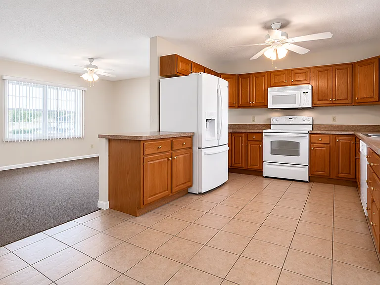 1438 Thousand Roses Dr S — Photo 3