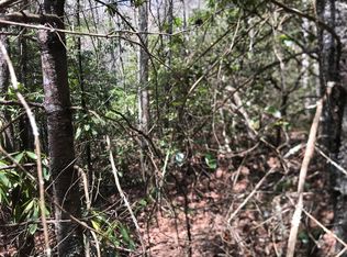 0 Stone Mountain Rd, Trade, TN 37691