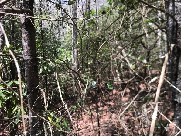 0 Stone Mountain Rd, Trade, TN 37691