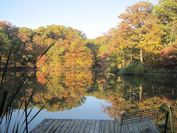 Fall color on the lake!