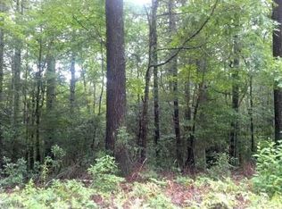 Trac1 Harrison & Ada Rd, Blue Ridge, GA 30513