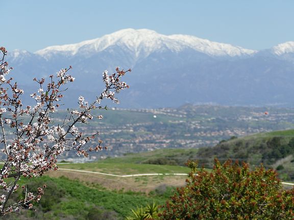 This is Mt. Baldy. It is the view from Studio A. You can also see Powder Canyon, which has dozens of riding and walking trails with access from Studio A. Below Mt. Baldy is seen the City of Industry.